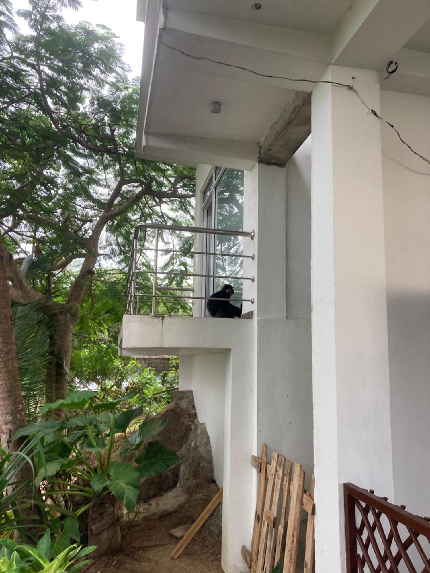 Jungle Beach Restaurant And Hotel-Jbr Galle Exterior foto